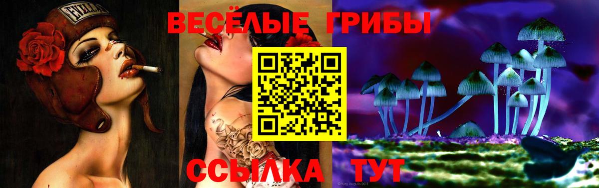 Донской  Галлюциногенные грибы GOLDEN TEACHER  закладка  Вход с VPN 